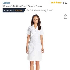 Dickies Nurse scrub dress
